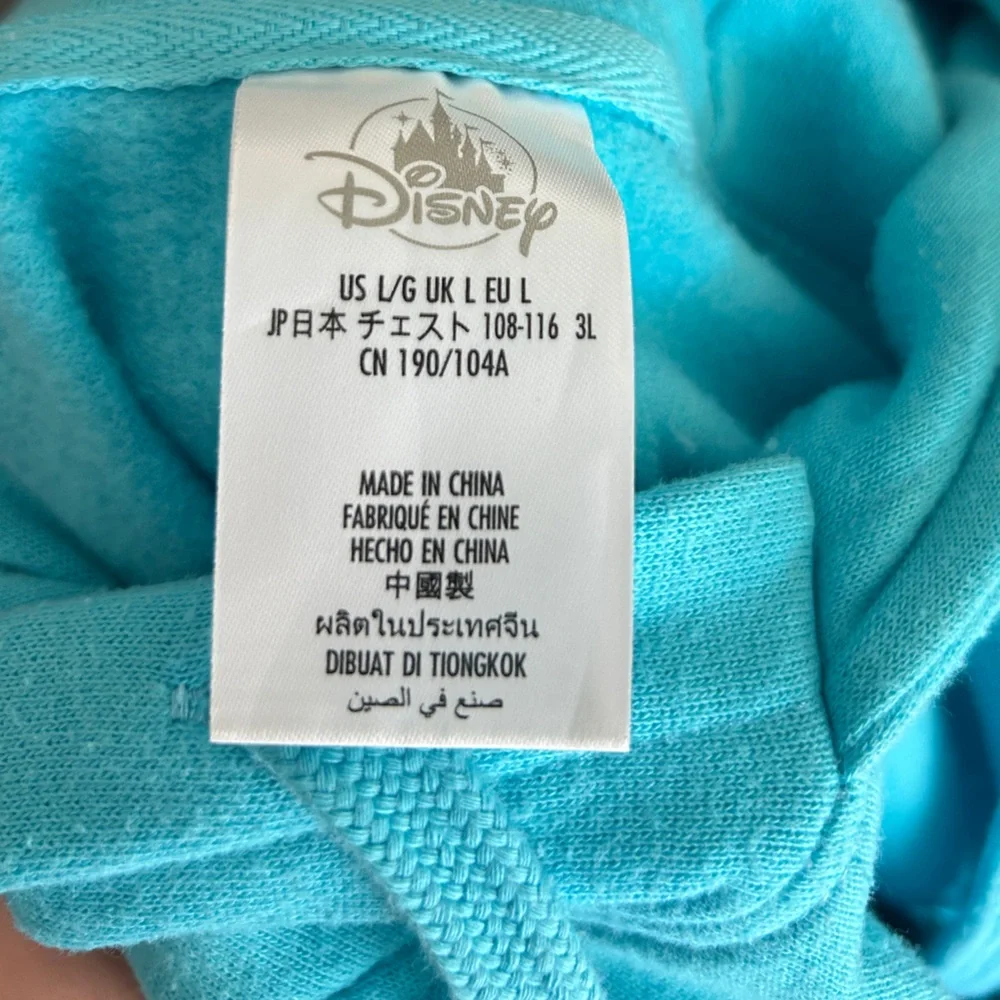 Disney Year 2022 Hoodie Men Size Large - Picture 11 of 11